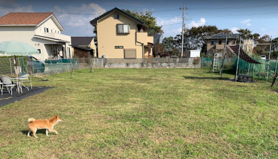 ドッグカフェ るしあん/群馬・吉岡町・ドッグカフェ＆農園